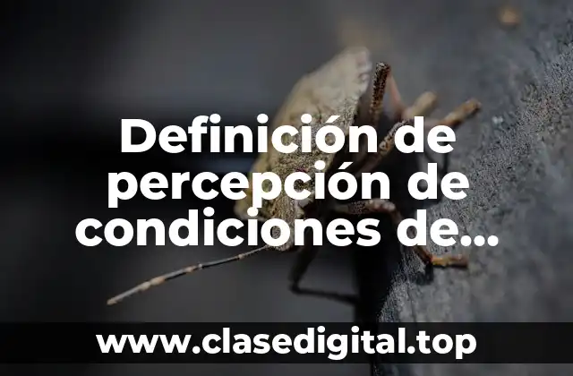 Definición de percepción de condiciones de trabajo cualitativa