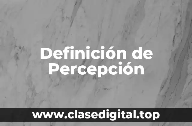 Definición de Percepción