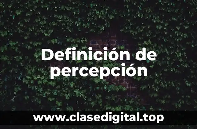 Definición técnica de percepción