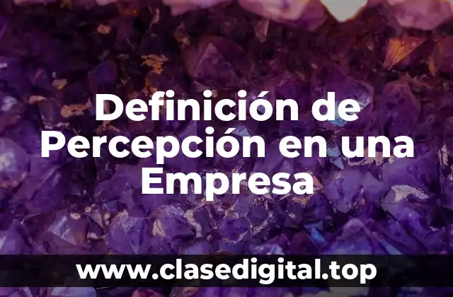 Definición de Percepción en una Empresa