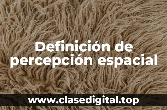 Definición técnica de percepción espacial