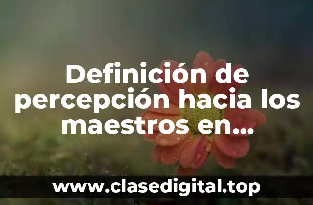 Definición de percepción hacia los maestros en psicología