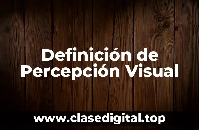 Definición de Percepción Visual