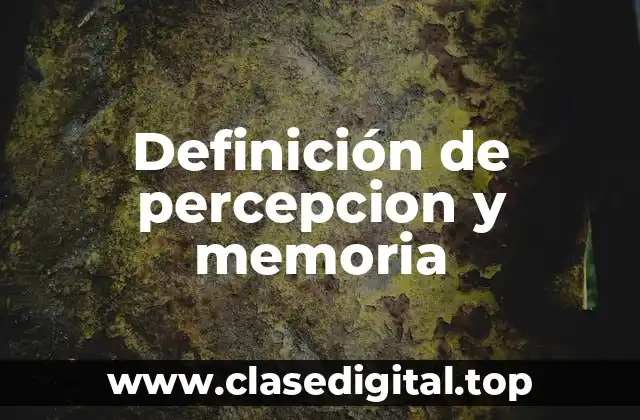 Ejemplos de percepcion y memoria