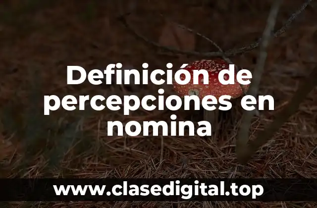 Definición de percepciones en nomina