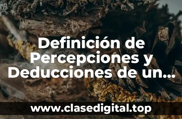Definición de Percepciones y Deducciones de un Trabajador