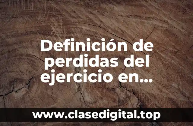 Definición de perdidas del ejercicio en contabilidad