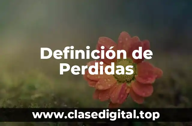 Ejemplos de perdidas