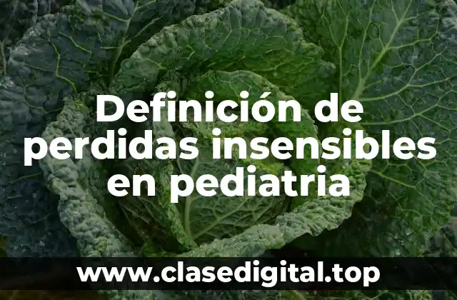 Definición de perdidas insensibles en pediatria