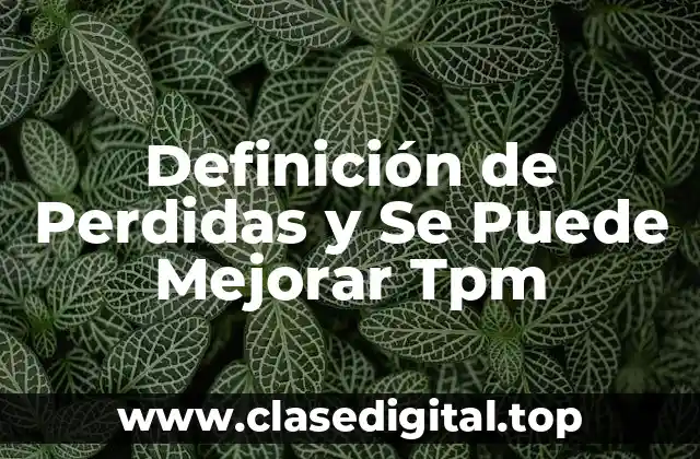 Definición de Perdidas y Se Puede Mejorar Tpm