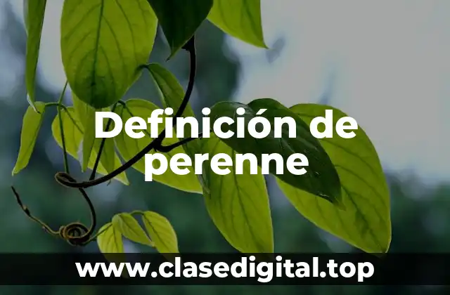 Definición de perenne