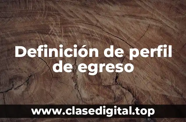 Definición técnica de perfil de egreso