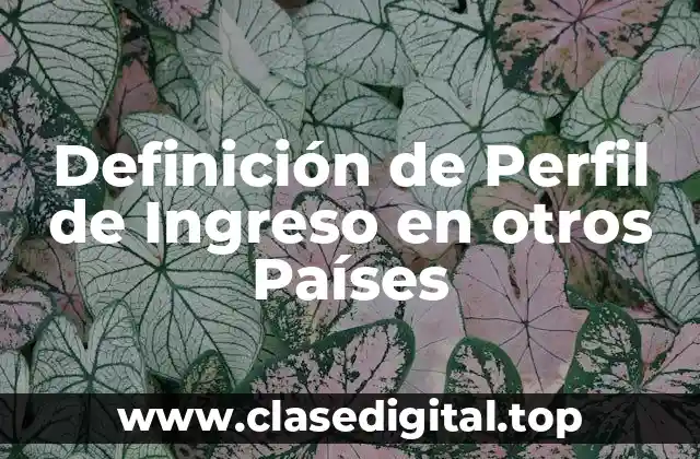 Definición Técnica de Perfil de Ingreso en otros Países