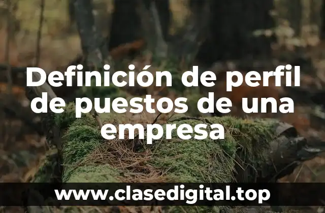 Definición de perfil de puestos de una empresa