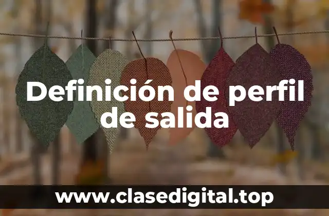 Definición de perfil de salida