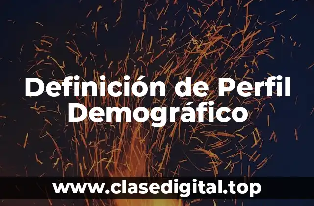 Definición de Perfil Demográfico