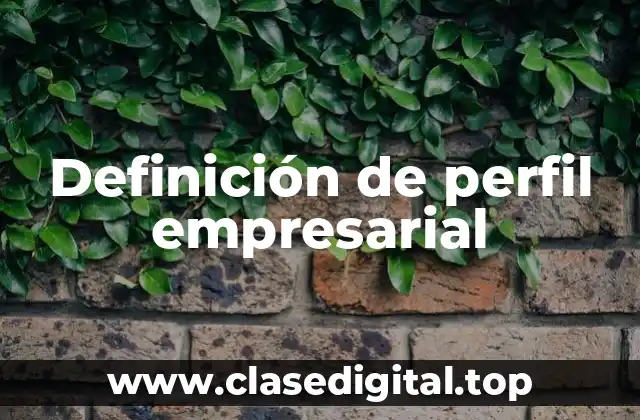 Definición de perfil empresarial