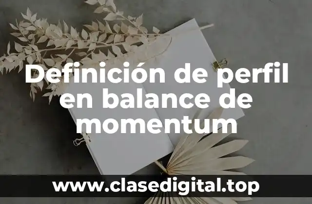 Definición de perfil en balance de momentum