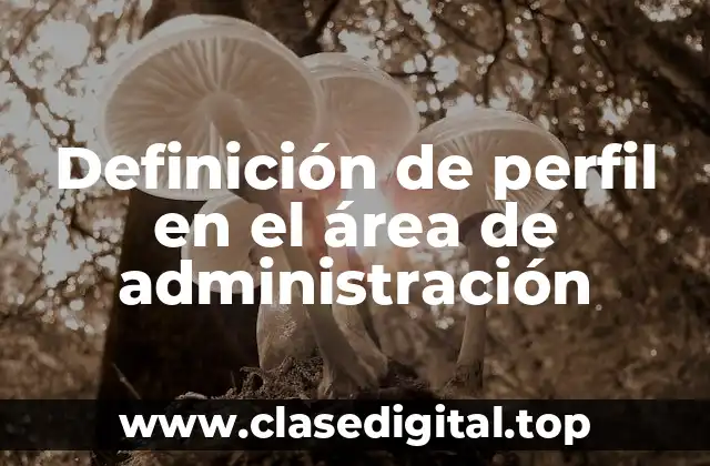 Definición de perfil en el área de administración