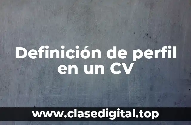 Definición de perfil en un CV