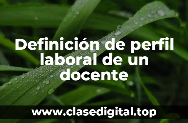 Definición de perfil laboral de un docente