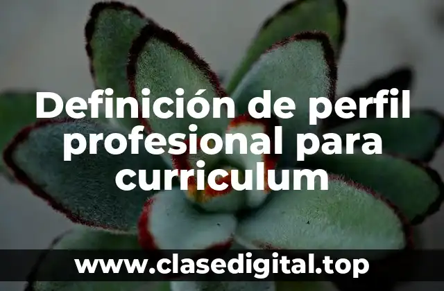 Definición de perfil profesional para curriculum