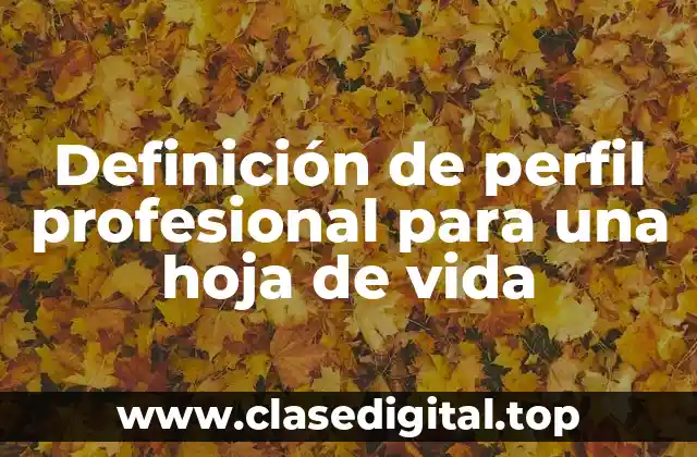 Definición de perfil profesional para una hoja de vida
