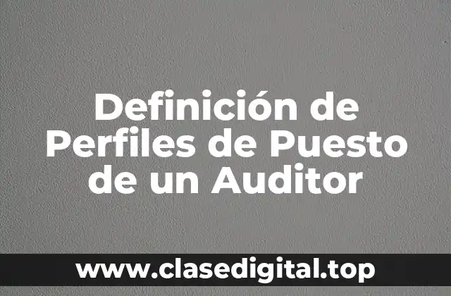 Definición Técnica de Perfiles de Puesto de un Auditor