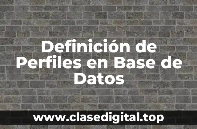 Definición de Perfiles en Base de Datos