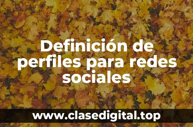 Definición de perfiles para redes sociales