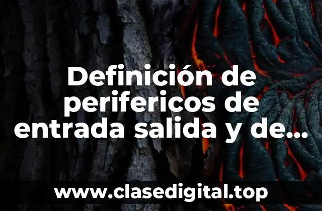 Definición de perifericos de entrada salida y de almacenamiento combinados