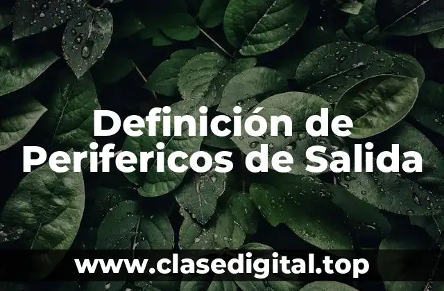 Definición de Perifericos de Salida