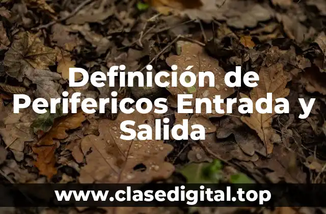Definición de Perifericos Entrada y Salida