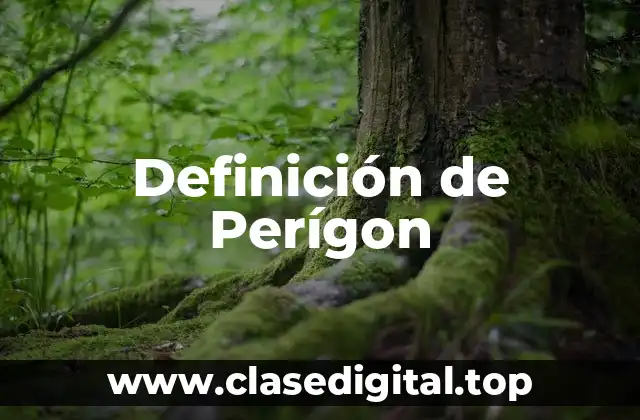 Definición de Perígon
