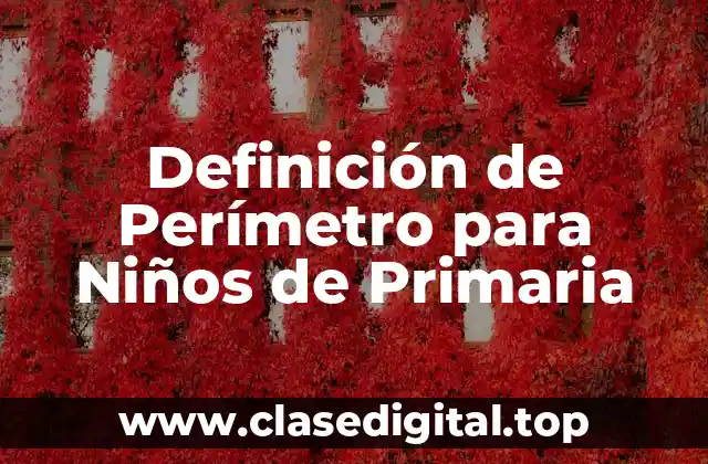 Definición de Perímetro para Niños de Primaria