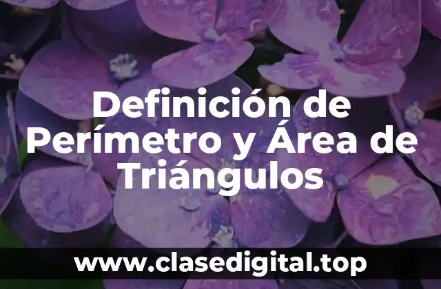 Definición de Perímetro y Área de Triángulos