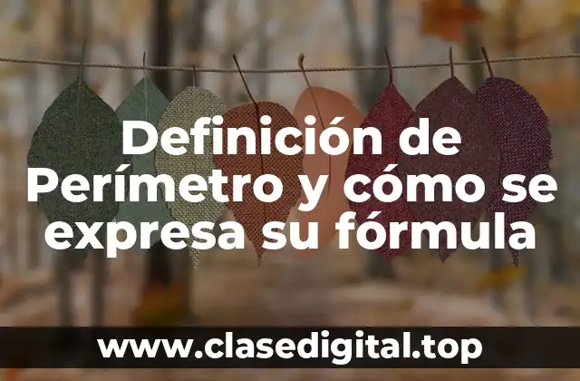 Definición técnica de Perímetro