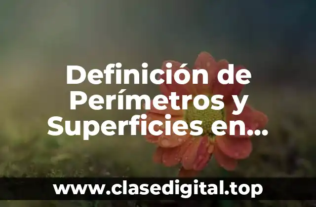 Definición de Perímetros y Superficies en Figuras Planas