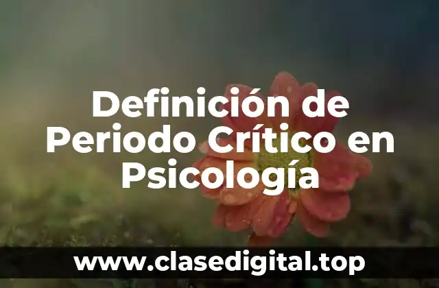 Definición de Periodo Crítico en Psicología