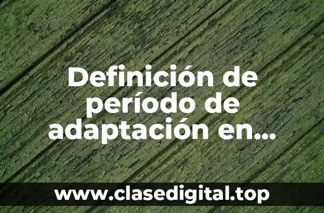 Definición de período de adaptación en educación infantil