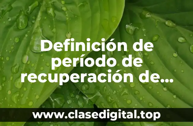 Definición de período de recuperación de capital