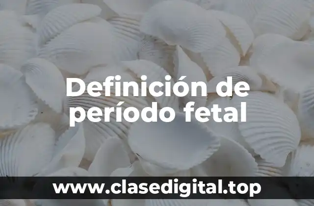 Definición de período fetal