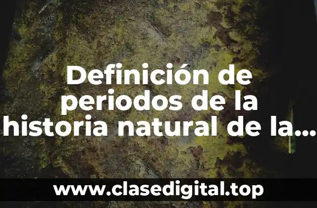 Definición de periodos de la historia natural de la enfermedad