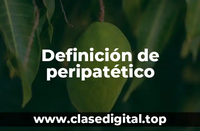 Definición de peripatético