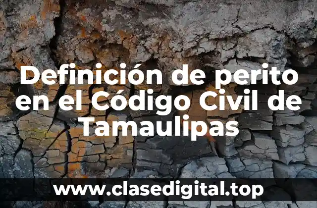 Definición de perito en el Código Civil de Tamaulipas
