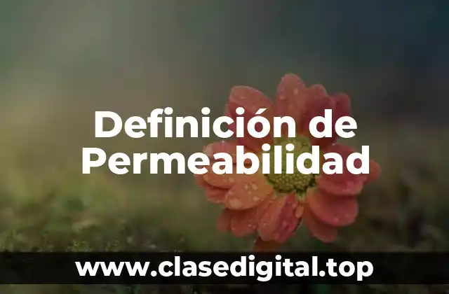 Definición de Permeabilidad