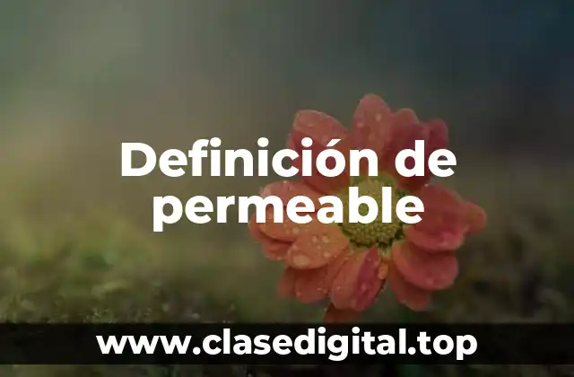 Definición de permeable