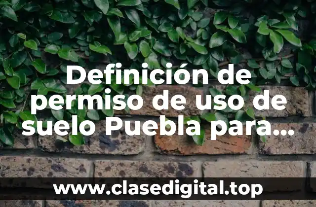 Definición de permiso de uso de suelo Puebla para agrícola