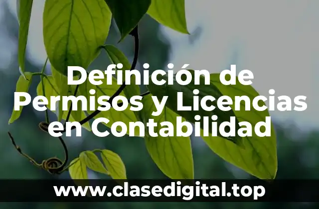 Definición de Permisos y Licencias en Contabilidad
