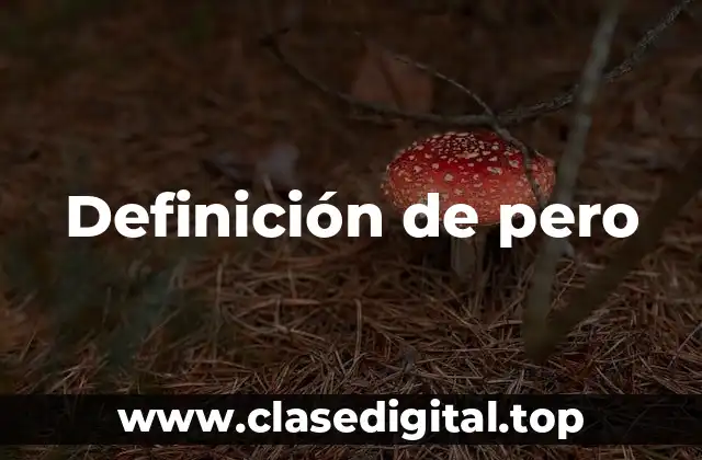 Definición técnica de pero